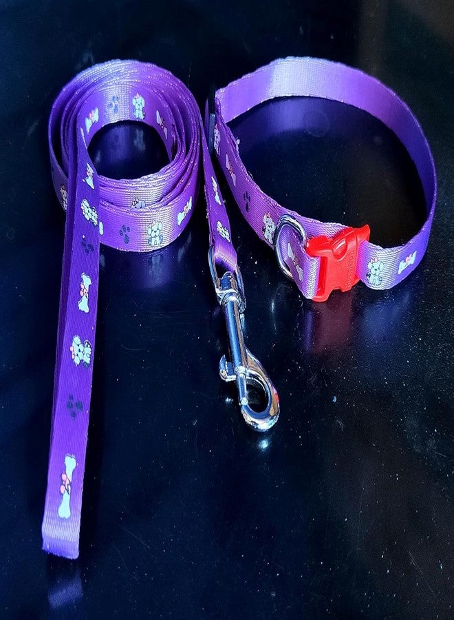 D&C PAWS Nylon Printed Collar and Leash Set for Puppies, Small Dogs, and Cats - 10mm Adjustable Collar with Leash, Pack of 5 Pieces, Perfect for Training and Walks - Image 4